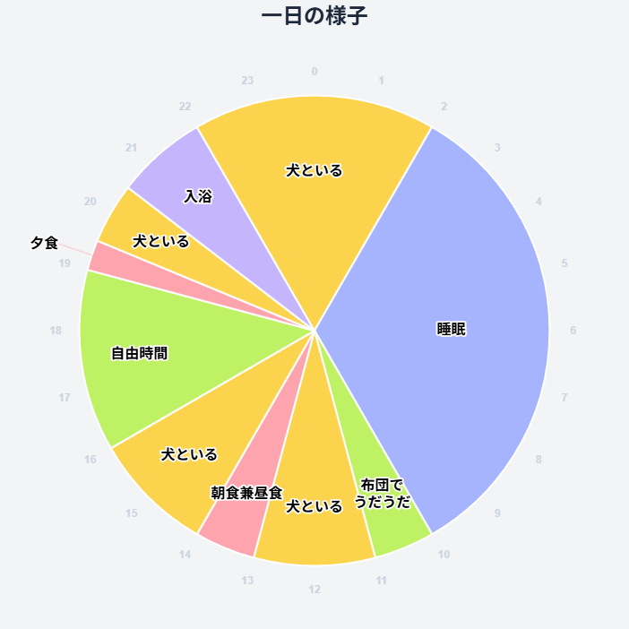 一日のルーティンを示す円グラフ